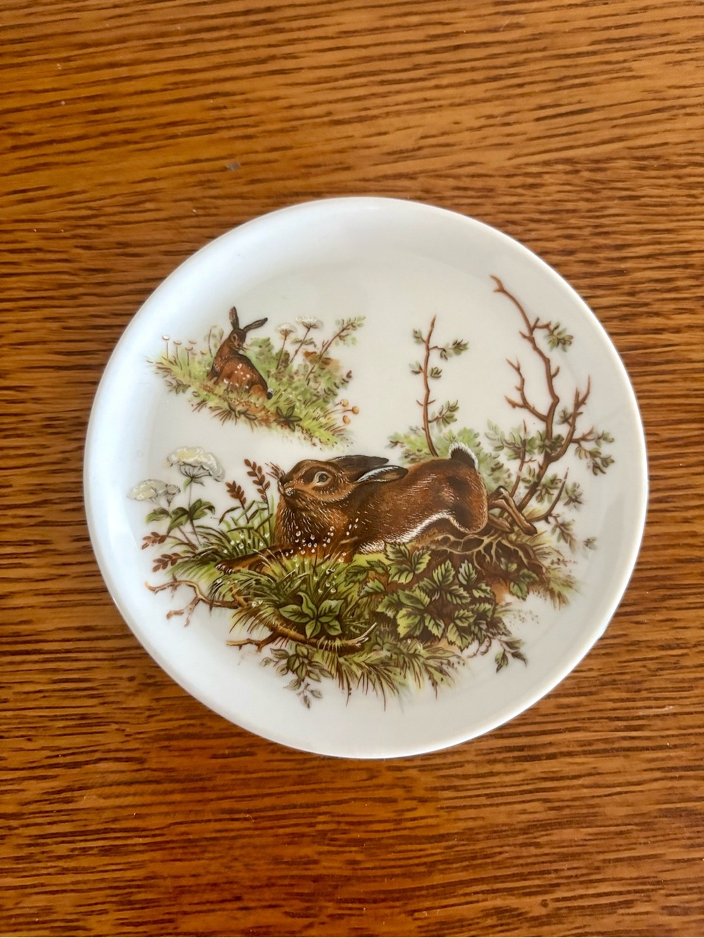 Bareuther Waldsassen Bavière Allemagne Rabbit Handpainted Plate